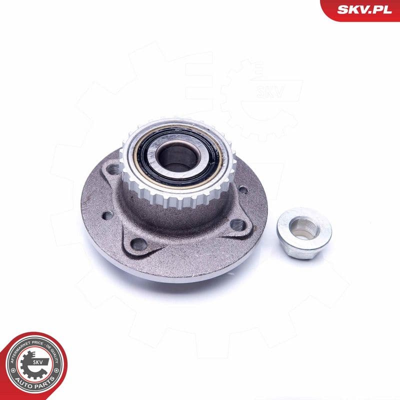 Set rulment roata ESEN SKV 29SKV223