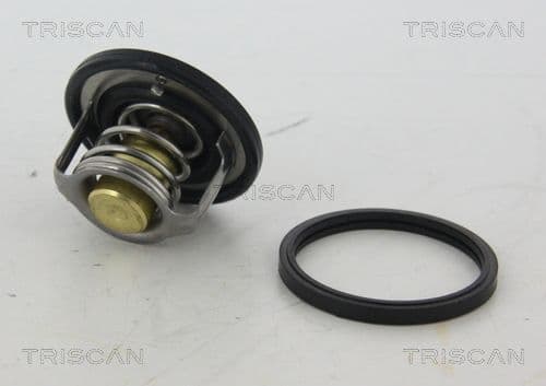 termostat,lichid racire TRISCAN 8620 45282