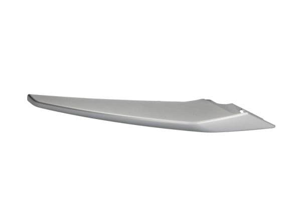 Banda de protectie, grila radiator BLIC 5513-00-0063924P