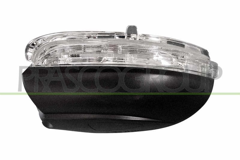 Acoperire oglinda exterioara PRASCO VG0387424