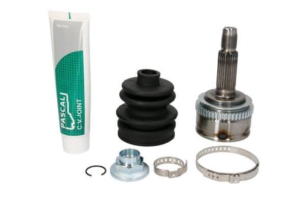 Set articulatie, planetara PASCAL G10345PC