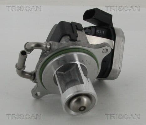 Supapa EGR TRISCAN 8813 23002