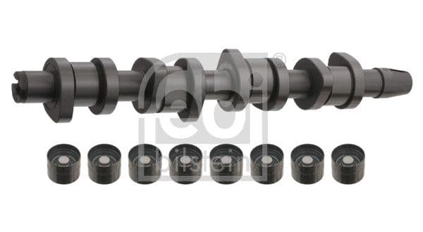 Set ax cu came FEBI BILSTEIN 33197