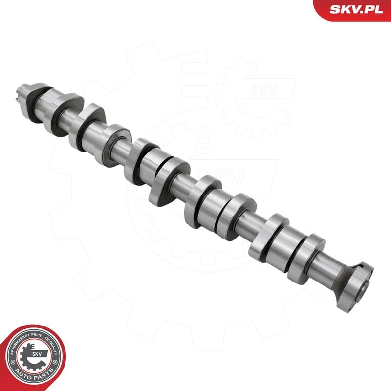 Ax cu came ESEN SKV 80SKV007