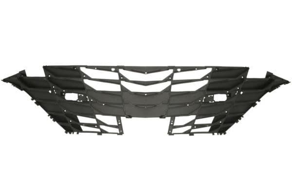 Grila radiator BLIC 6502-07-3174991P