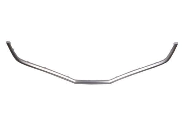 Banda de protectie, grila radiator BLIC 6502-07-2901994P