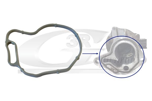 Garnitura, pompa vacuum 3RG 82688