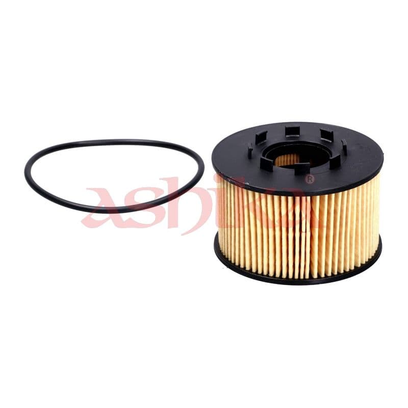 Filtru ulei ASHIKA 10-ECO022