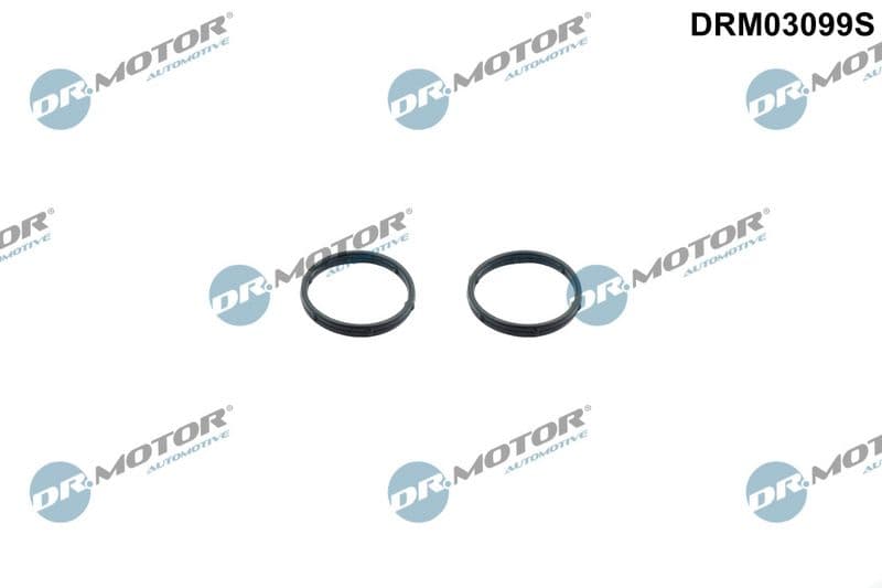 Set garnitură de etanșare, pompă de ulei Dr.Motor Automotive DRM03099S