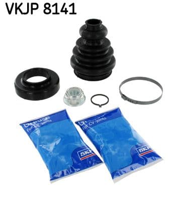 Ansamblu burduf, articulatie planetara SKF VKJP 8141