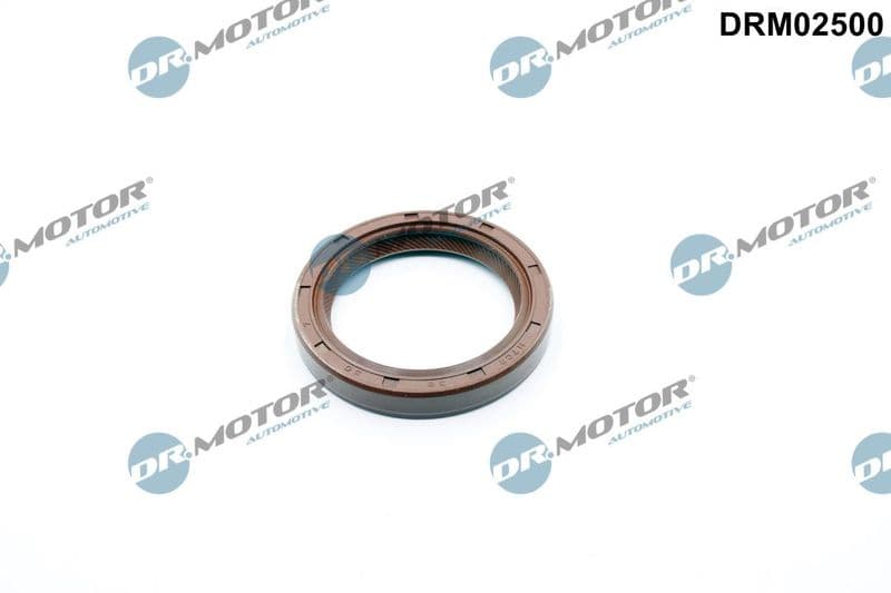 Simering, ax cu came Dr.Motor Automotive DRM02500