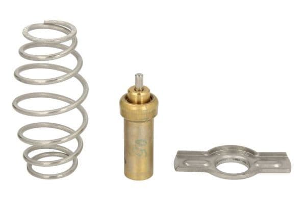 termostat,lichid racire THERMOTEC D2IV008TT