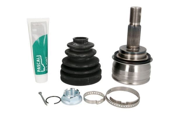 Set articulatie, planetara PASCAL G12129PC