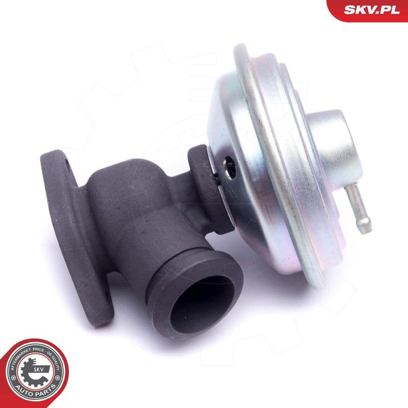 Supapa EGR ESEN SKV 14SKV203