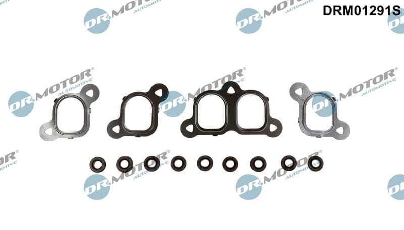 Set garnituri, galerie admisie Dr.Motor Automotive DRM01291S