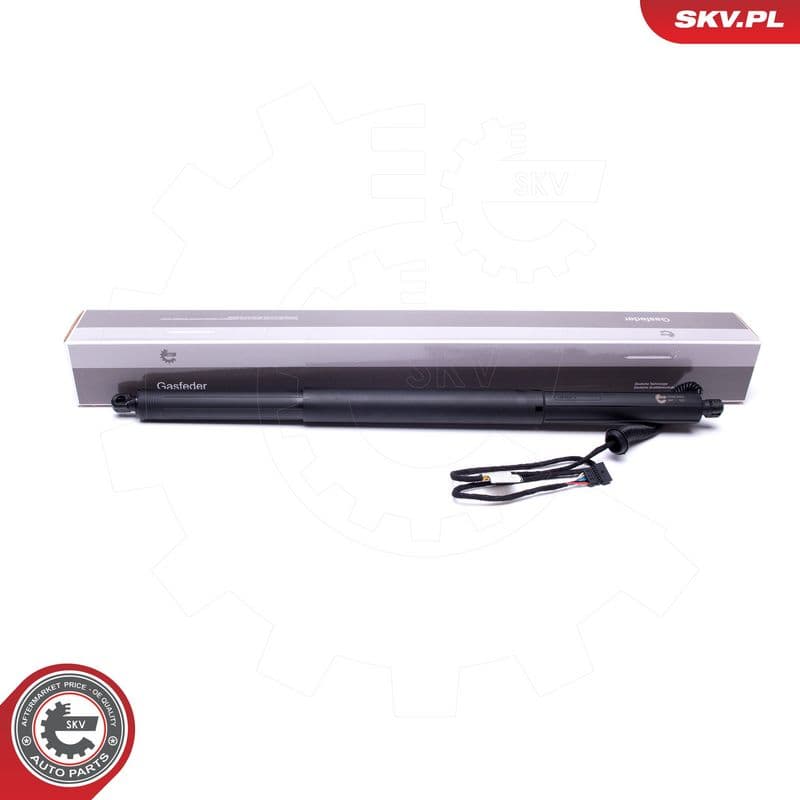 Motor electric, haion ESEN SKV 52SKV929