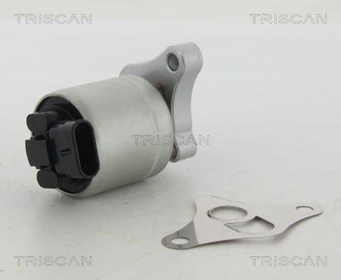 Supapa EGR TRISCAN 8813 24002