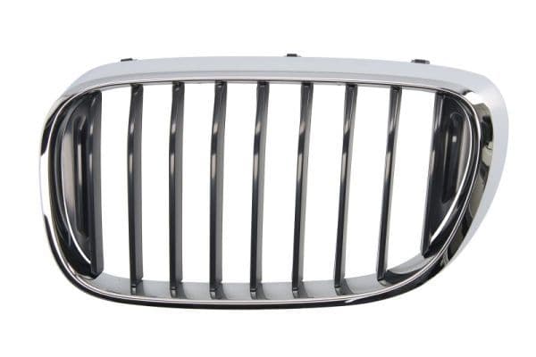 Grila radiator BLIC 6502-07-0078991P
