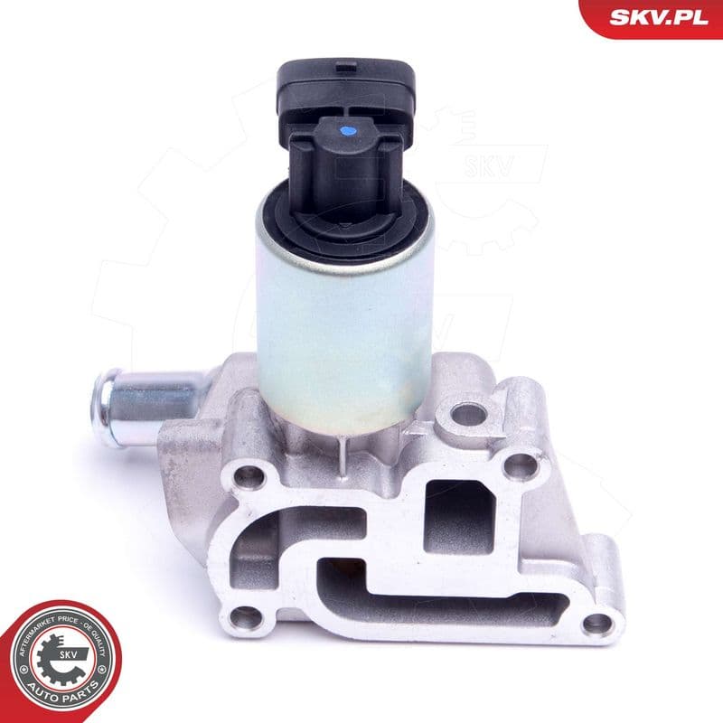 Supapa EGR ESEN SKV 14SKV207