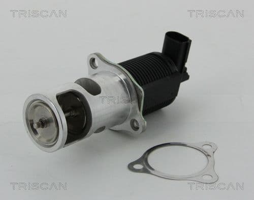 Supapa EGR TRISCAN 8813 25038