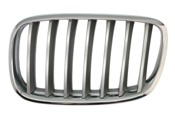Grila radiator BLIC 6502-07-0096991PP