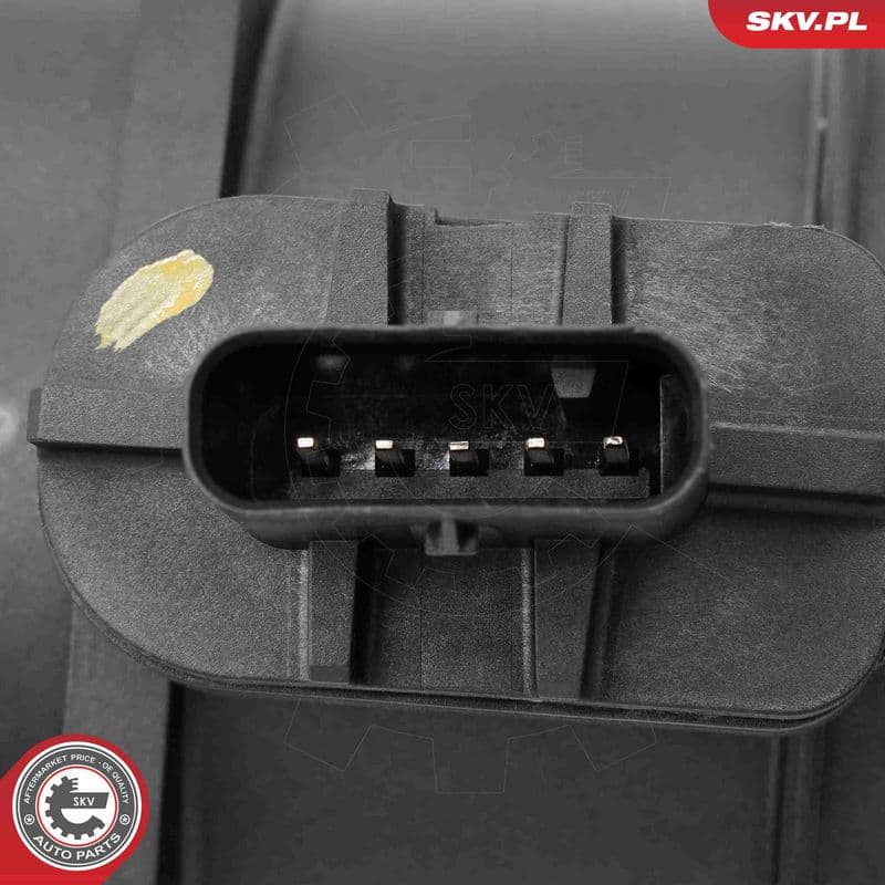 senzor debit aer ESEN SKV 07SKV240