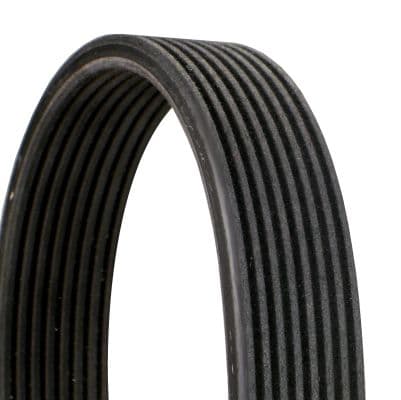 Curea transmisie cu caneluri CONTINENTAL CTAM 8DPK1827