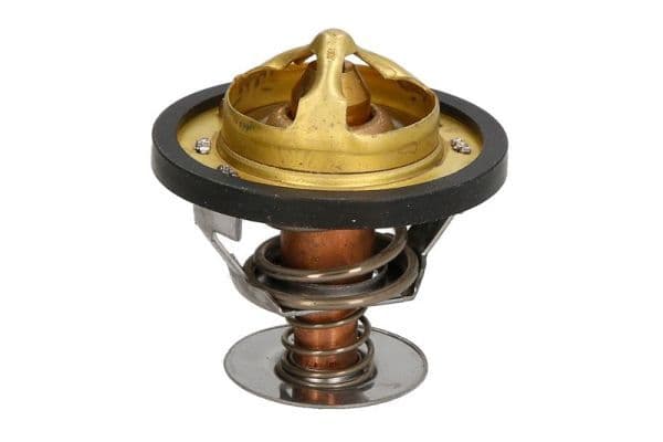 termostat,lichid racire THERMOTEC D2PE006TT