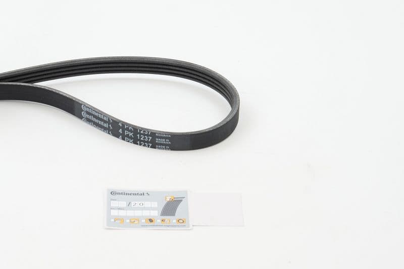 Curea transmisie cu caneluri CONTINENTAL CTAM 4PK1237