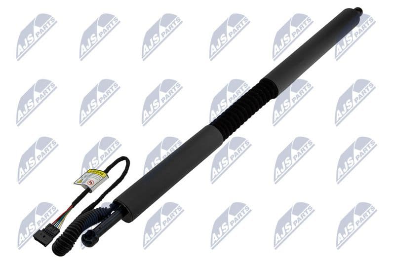 Amortizor portbagaj NTY AE-BM-109