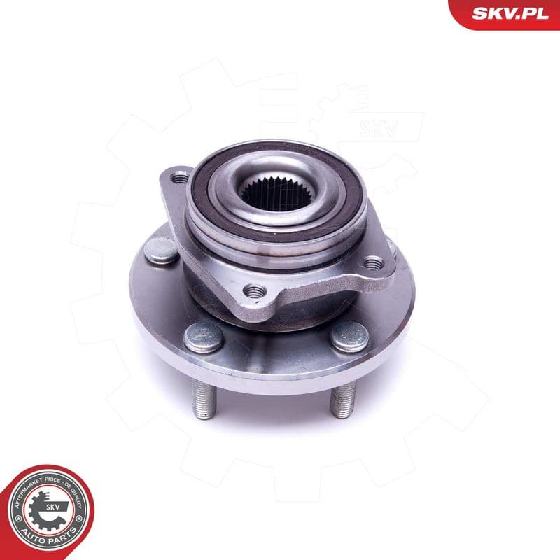Set rulment roata ESEN SKV 29SKV429