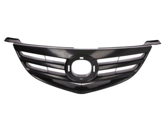 Grila radiator BLIC 6502-07-3476993P