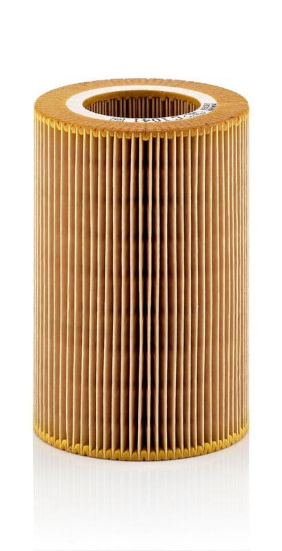 Filtru aer MANN-FILTER C 1041
