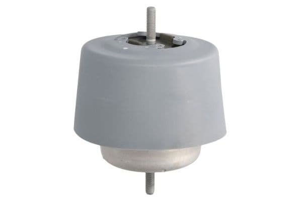 Suport motor REINHOCH RH11-0037
