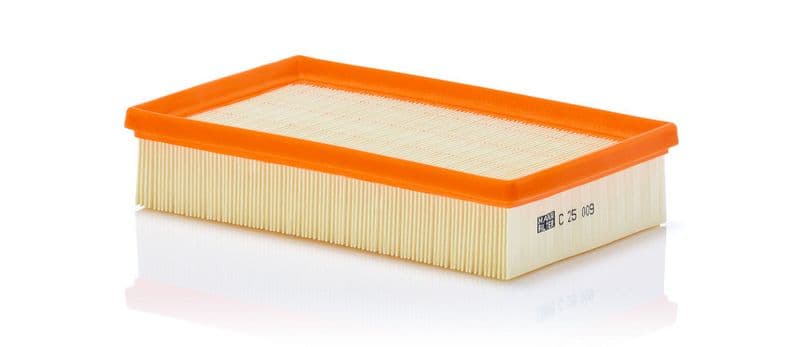 Filtru aer MANN-FILTER C 25 009