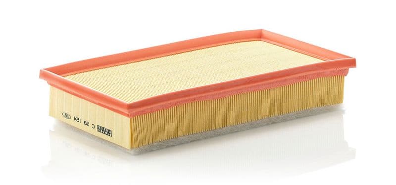 Filtru aer MANN-FILTER C 29 124