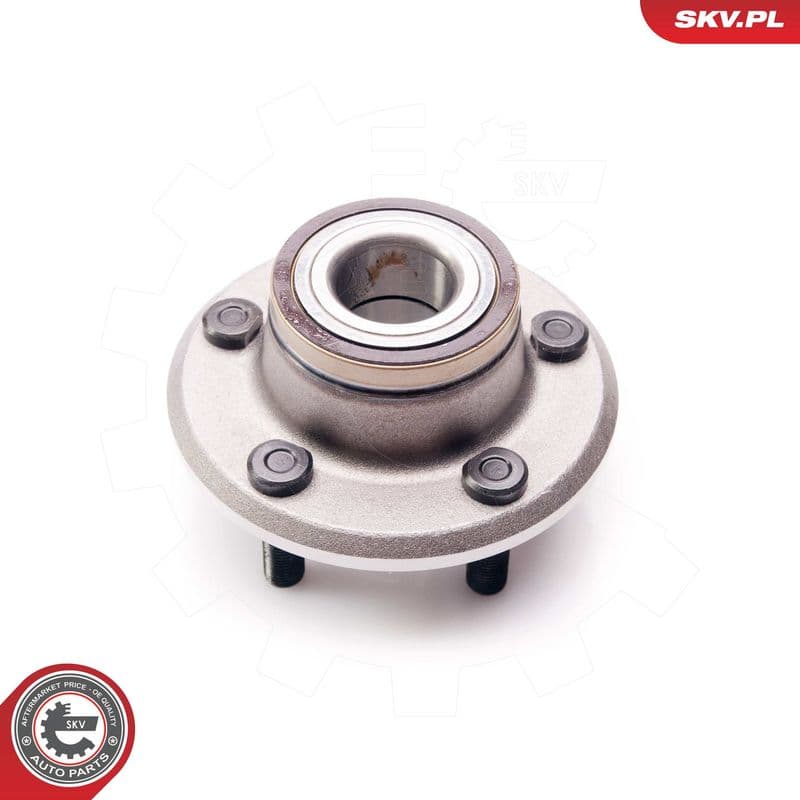 Set rulment roata ESEN SKV 29SKV152