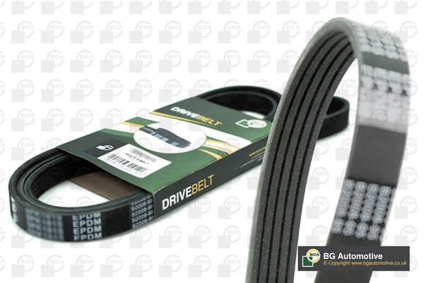 Curea transmisie cu caneluri BGA 5PK491