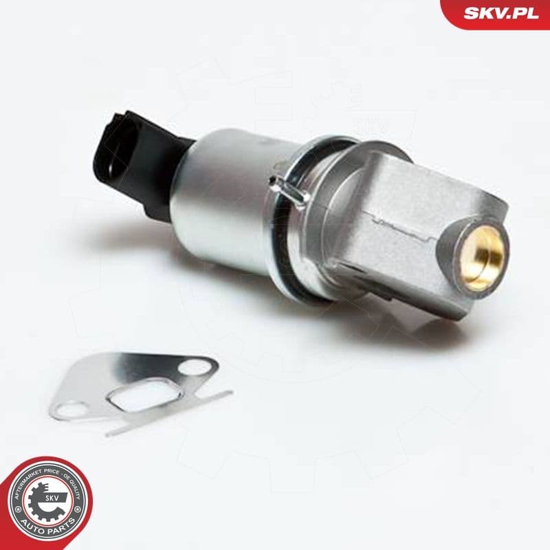 Supapa EGR ESEN SKV 14SKV007