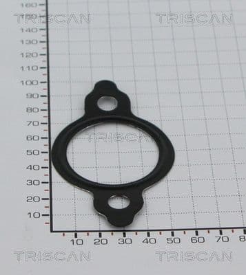 Garnitura TRISCAN 8813 99122