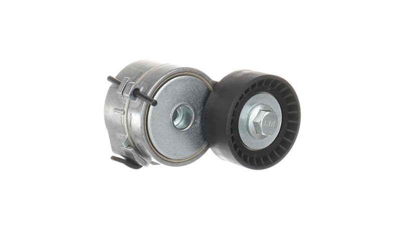 Intinzator curea, curea distributie SKF VKM 33161