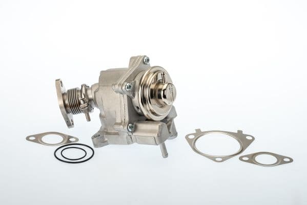 Supapa EGR BorgWarner 7631D/1
