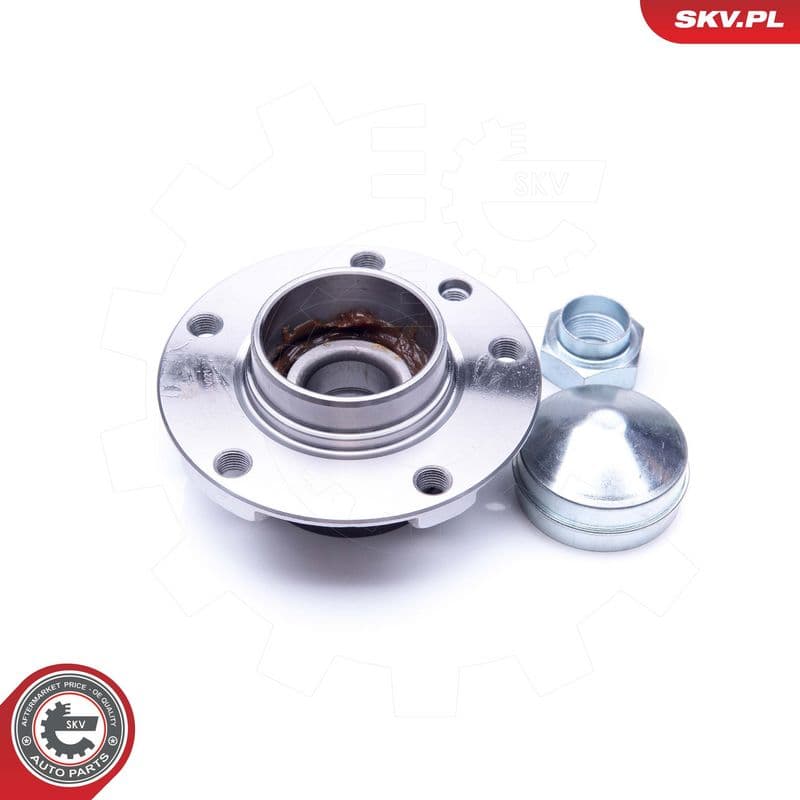 Set rulment roata ESEN SKV 29SKV221