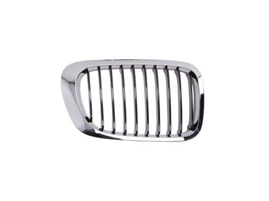 Grila radiator BLIC 6502-07-0061994PP