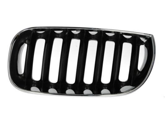 Grila radiator BLIC 6502-07-0093991P