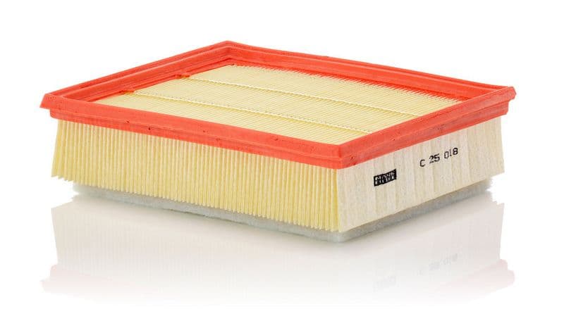Filtru aer MANN-FILTER C 25 018
