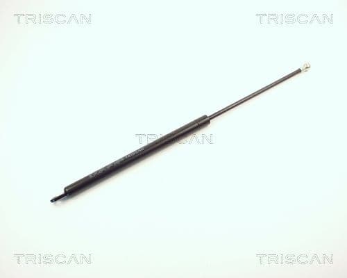 Amortizor portbagaj TRISCAN 8710 2912