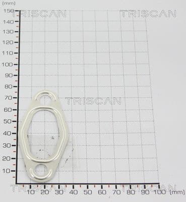Garnitura TRISCAN 8813 9969