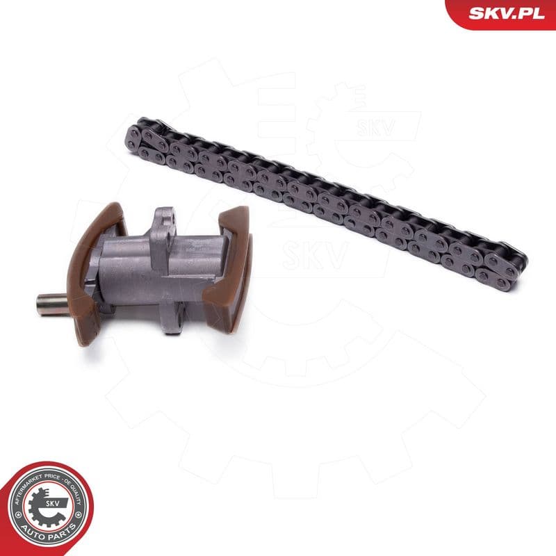 chit lant de distributie ESEN SKV 21SKV269