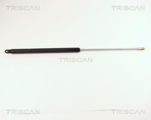 Amortizor portbagaj TRISCAN 8710 2904